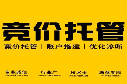 揭秘SEM竞价成功案例，助你提升ROI
